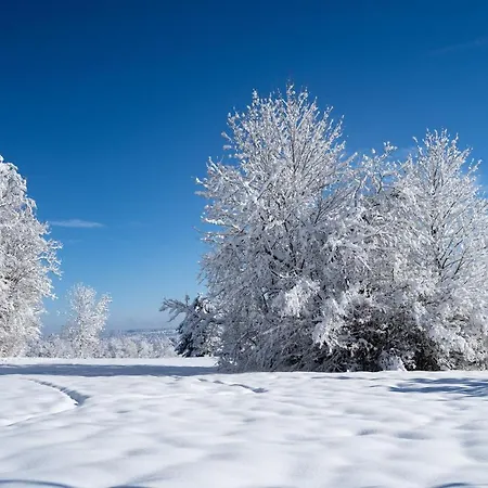 Rechtmurg 27 Hotel *