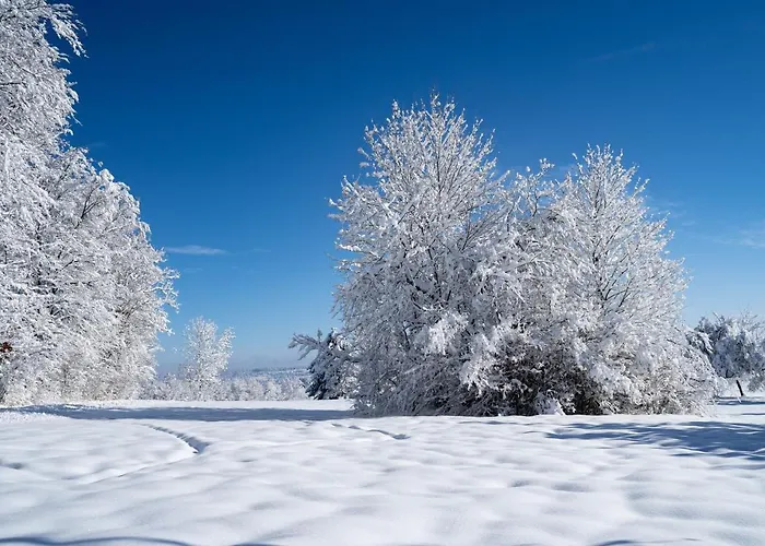 Rechtmurg 27 Hotel *